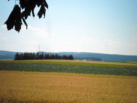 Foto 16